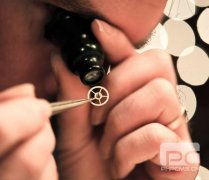 伯爵定期保养检测